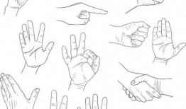 画漫画人物手,指尖上的艺术魅力