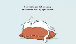 懒人漫画,轻松解读生活百态